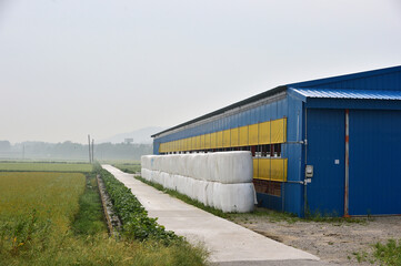 Fototapeta na wymiar Morning landscape of the Gimje Plains in South Korea