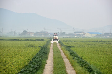 Fototapeta na wymiar Morning landscape of the Gimje Plains in South Korea
