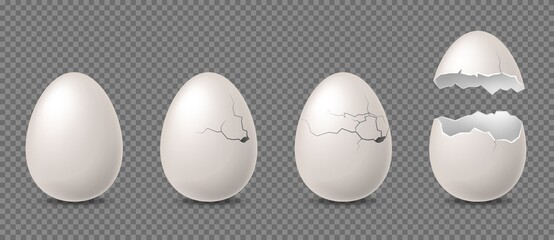 Cracked egg. Realistic white chicken eggs, whole broken with cracks and debris eggshell. Culinary cooking nutrition ingredient, bird incubator vector isolated on transparent background set