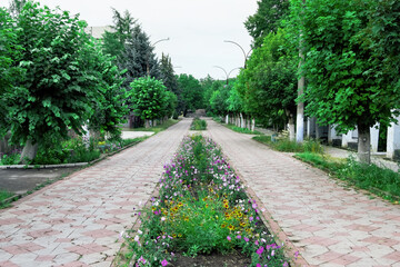 Pedestrian street full of flower beds in Moldova