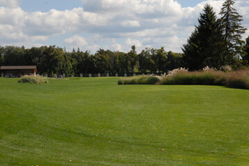 Fototapeta na wymiar golf course in the summer