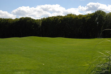 Fototapeta na wymiar golf course on a sunny day