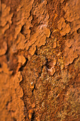 texture, cracks in the coating, vintage background