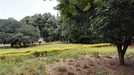 A day out at Yelagiri