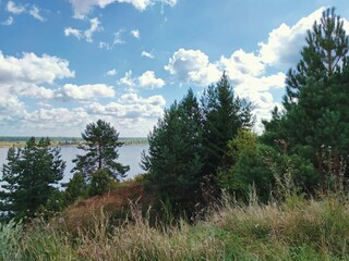 trees at the top of the slope against the background of the river and blue sky with clouds on a sunny day