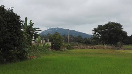 A day out at Yelagiri