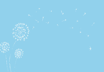 Dandelion with seeds blowing away on blue background. Summer plant. White silhouette of flower. Floral Vector Illustration