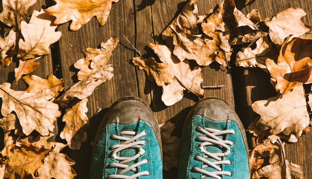 Autumn Background Trekking Shoes And Colorful Foliage