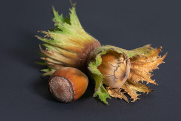 Fresh hazelnut close up on darck background.