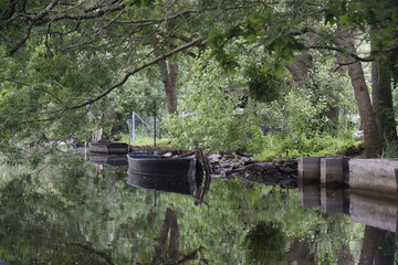   Les Marais  de la Brière  St Joachim