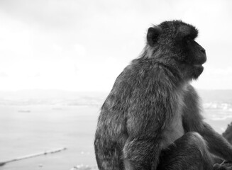 Gibraltar Great Britain