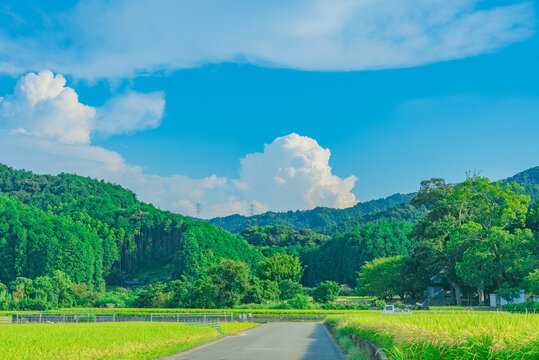 田舎」の写真素材 | 4,528,833件の無料イラスト画像 | Adobe Stock