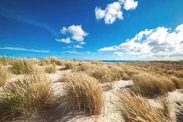 Dünen bei Skagen in Norddänemark © Florian Kunde