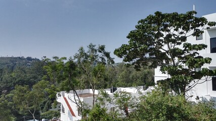 A day out at Yercaud