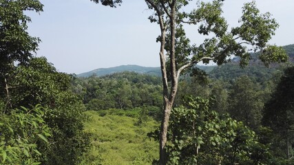 A day out at Yercaud