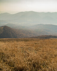 Bursztynowa panorama gór. Krajobraz Bieszczad. - obrazy, fototapety, plakaty