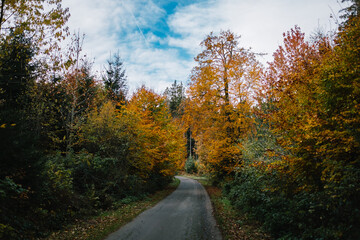 Laubb&auml;ume im Herbst