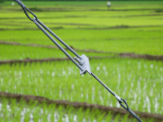 Electrical stay wire against paddy field