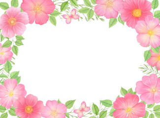 Fototapeta na wymiar Wild rose flowers card, invitaton, poster template. Floral rectangular border frame. Watercolor illustration. Hand drawn rose hip bouquets 