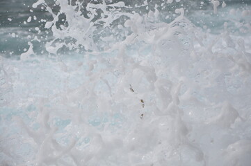 Big waves breaking on shore - wave splashing.