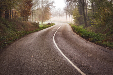 Fototapeta na wymiar curvy road in beautiful foggy forest in autumn