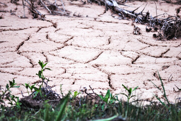 dry cracked earth