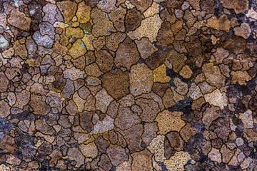 Curious  and unique mozaic type weathering on rock, Tully Mountain, Connemara National Park, Letterfrack, County Galway, Ireland