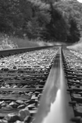 railroad tracks in the forest, closeup
