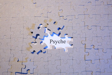 Puzzle - Themen der Zeitgeschichte - Grafik - Probleme - Lösungen