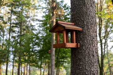 wooden bird house in the park 