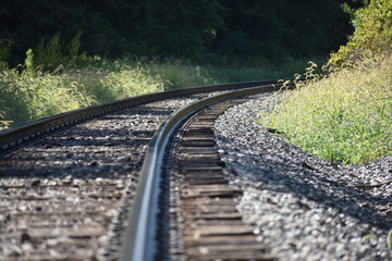 railroad tracks in the forest
