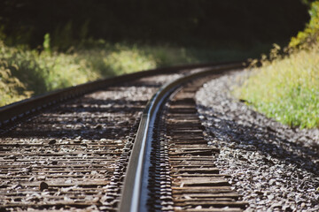 railroad tracks in the forest