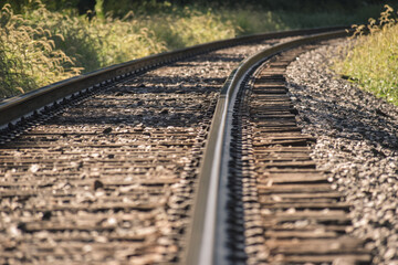 railroad tracks in the forest