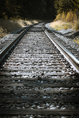 railroad tracks in the forest 