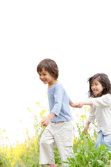 Fototapeta premium 菜の花畑を走る子供