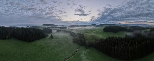 Woods in the Mist at Sunrise