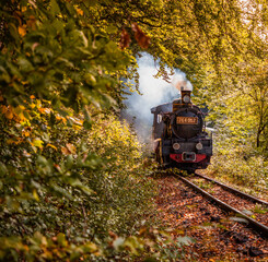 vintage old steam train in the forest - slow travel