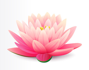 Beautiful realistic pink lotus flower isolated on white background, water plant, vector illustration. Flower for cosmetic products cover.