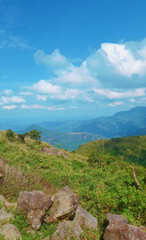 Fototapeta na wymiar Beautiful mountains in SriLanka -riverston