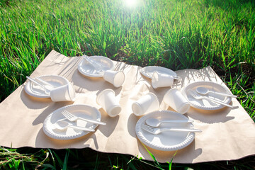 biodegradable disposable tableware made from environmentally friendly materials. spoons, forks,...