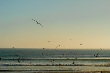 Sunset atardecer en una playa de Oporto, Portugal 2020