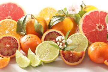 citrus fruit collection- lemon,orange, grapefruit