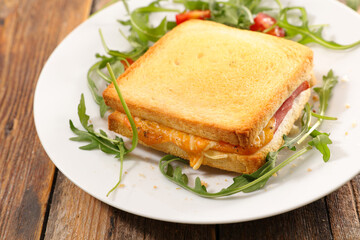 croque-monsieur- grilled toast with ham and cheese