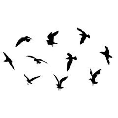 Silhouette set of flying seagulls birds on white background. Inspirational body or flesh ink tattoo design of sea birds. Vector.