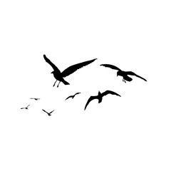 Set of seagulls birds, nautical sailor tattoo sketch. Black stroke of flying sea gull silhouettes on white background. Marine set. Drawings of different shapes of water birds in the flock. Vector.