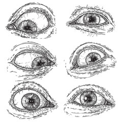 Obraz premium Set of human eyes for design of all seeing eye symbols variations. Alchemy, religion spirituality and occultism tattoo ink art collection. Vision of providence and third eye. Hand drawn vector.