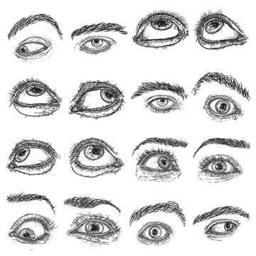 Expressive eye and brow with lashes image set with different mood and directions. Design element for vision or character design. Hand drawing for studio salon or tattoo design. Vector.