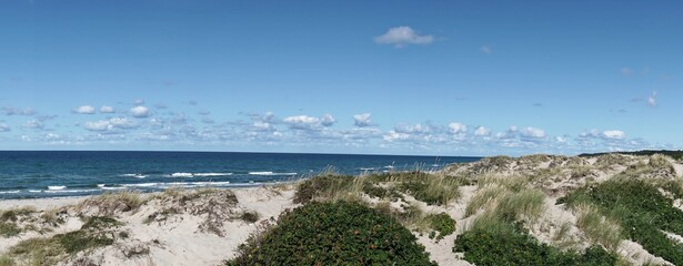 Dünenlandschaft  zwischen Liseleje Strand und Tisvildelje Strand, Seeland, Dänemark,