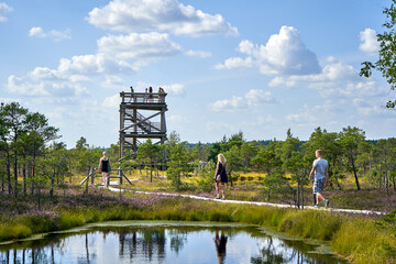People are walking on wooden path in national park in the swamp