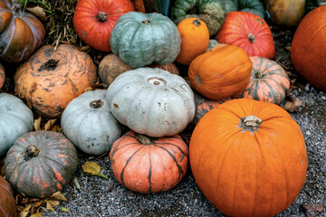 Halloween decoration theme in an outdoor public garden, scary pumpkins on the ground.